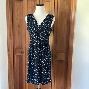 LOFT Stretch Sleeveless Polkadot Pullover Dress, Size 2P